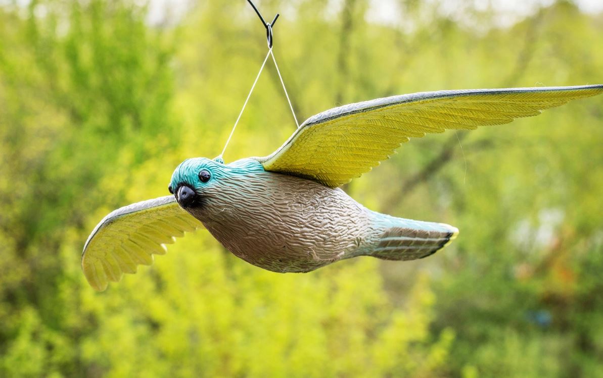 efektívny plašič vtákov - maketa lietajúcej poštolky